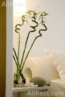 Petasos Beach Resort & SPA 9
